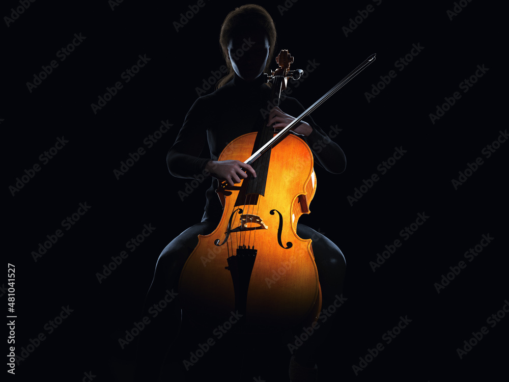 Fototapeta premium Silhouette of a female playing the cello. 3D illustration.