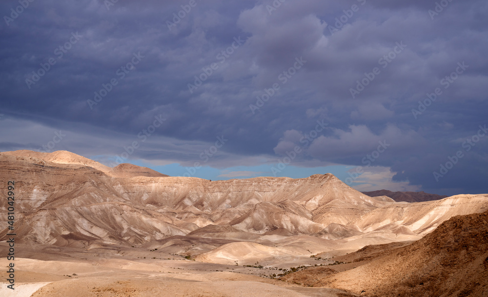 Unique desert landscape. ​Sandy hills lit by the sun. Dark overcast sky and impending windstorm. Dramatic and picturesque winter desert scene.