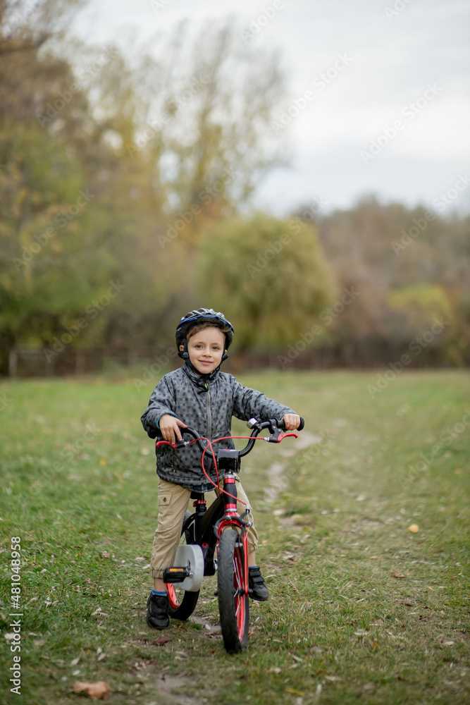Portrait of smiling boy in a helmet with a bicycle in the park Portrait of smiling boy in a helmet with a bicycle in the park