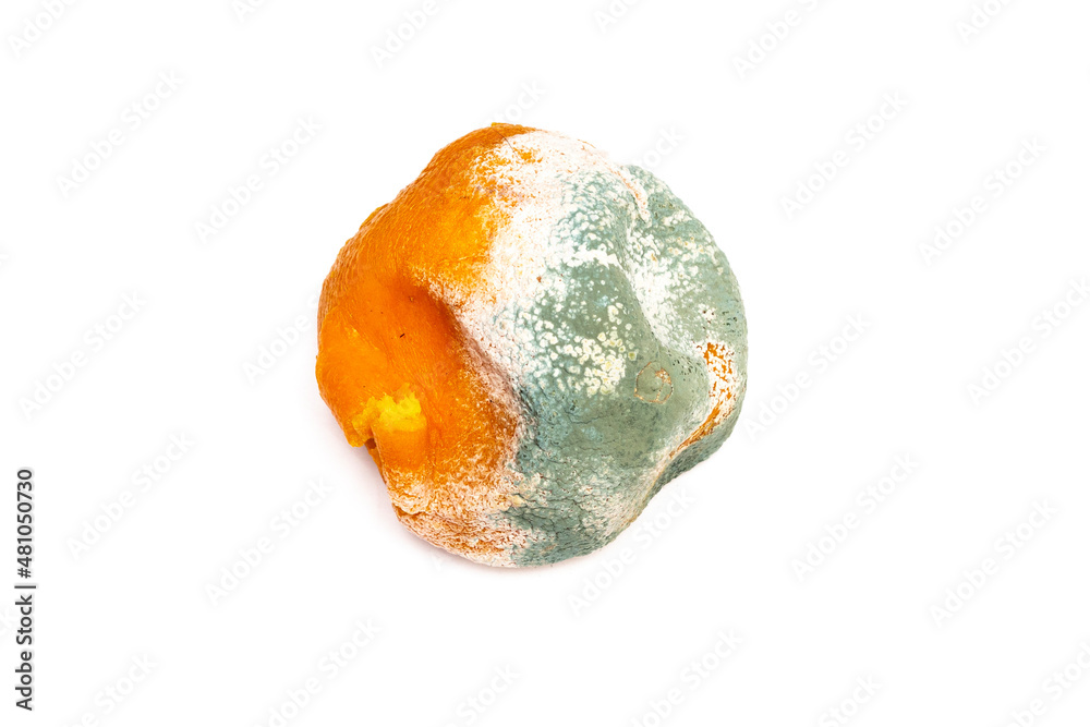 Out of date orange fruit.