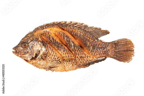 Fried tilapia fish isolated on white background .Top view