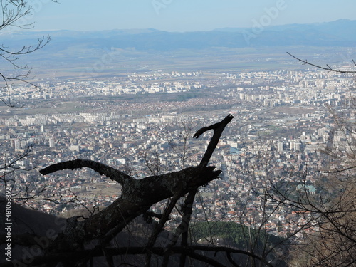 Vaste panorama urbain de Sofia en Bulgarie  avec branches   voquant la forme d   un animal