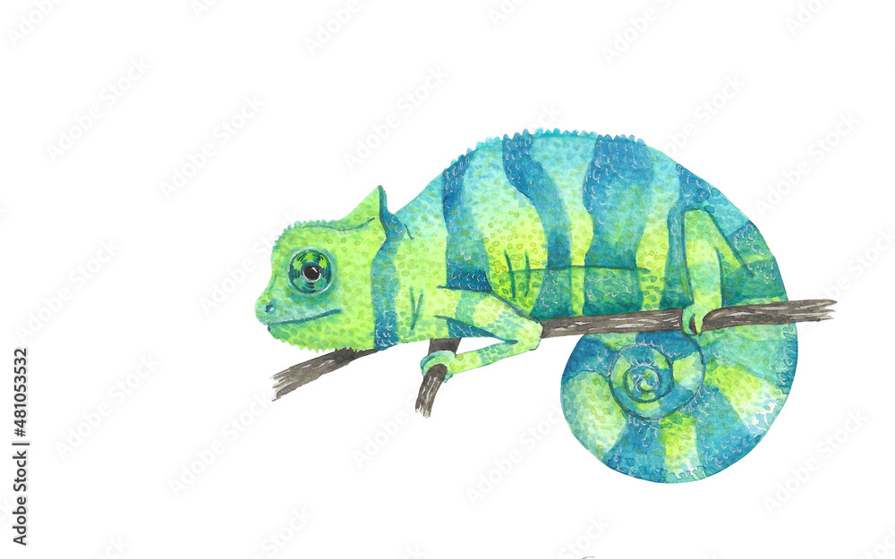 Naklejka premium Animal illustration: blue and green chameleon