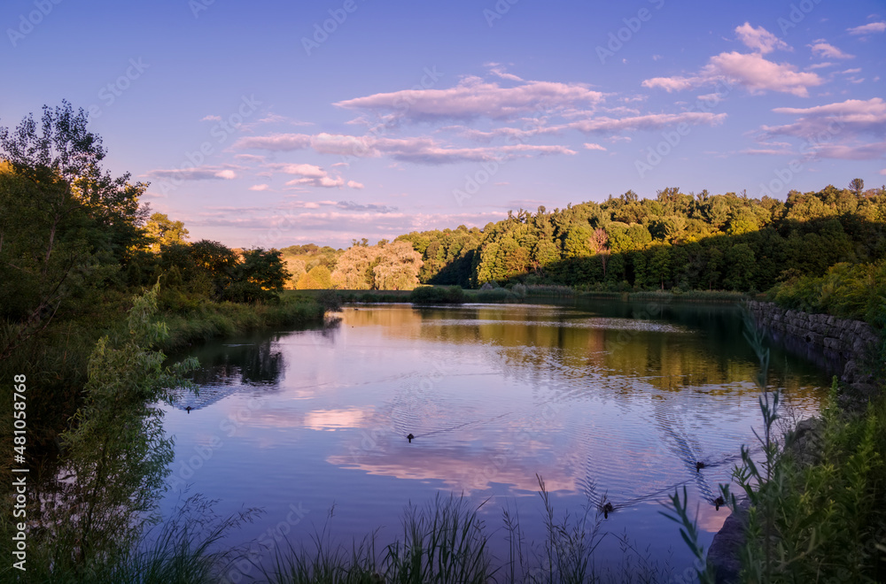 Obraz premium Beautiful summer sunset landscape with ducks floating in a pond reflecting blue sky white clouds and yellow green forest trees across the pond