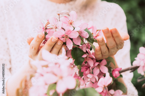 Fotografie The girl's hands are holding a blossoming branch with loose delicate pink flowers