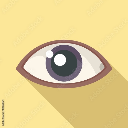 Eye icon flat vector. Eyeball sight