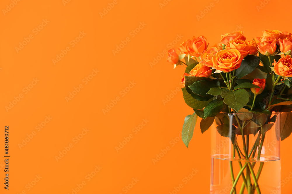 Obraz premium Vase with beautiful orange roses on color background