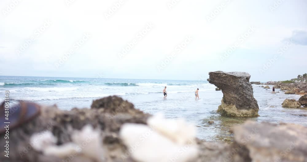 Beach and ocean behind blurry conch shells and dry corals