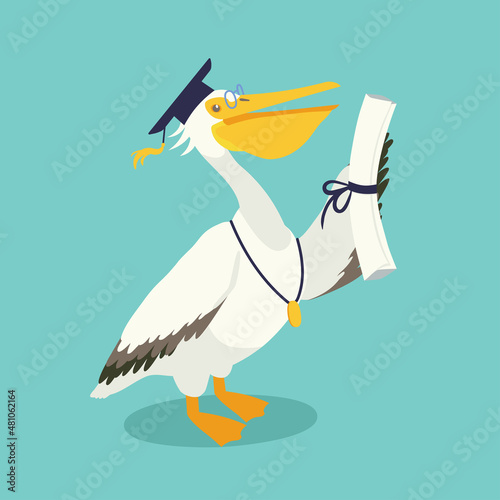 Graduation mascot the white pelican holding a diploma in its wing.