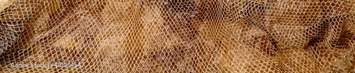 texture snake snatched