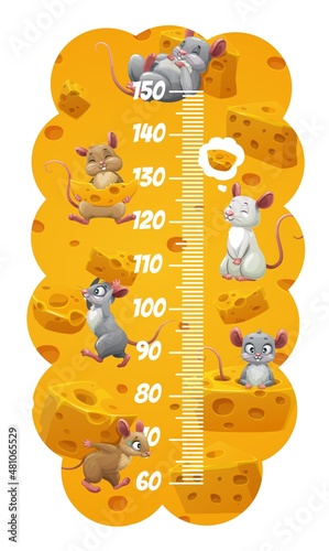 Height chart kids growth measure ruler cartoon mouses and mices with cheese. Vector pediatric meter, wall sticker for children height measurement with funny rodents characters carry cheese and scale