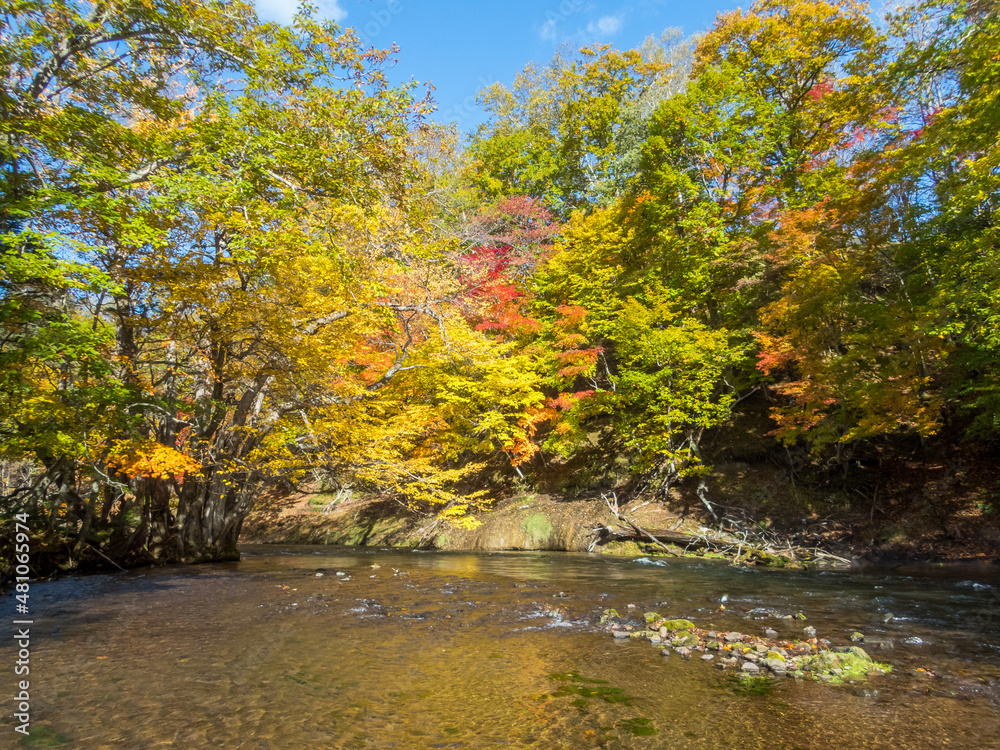 Akan River in autumn colors Rainbow trout are waiting there.
