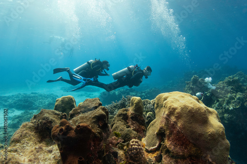 Fototapeta divers scuba diving around the coral reefdivers scuba diving around the coral re