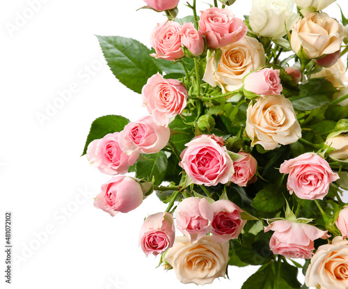 Bouquet of beautiful fresh roses on white background