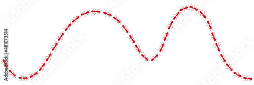 Worker ants trail curve. Red ant path isolated in white background. Vector illustration