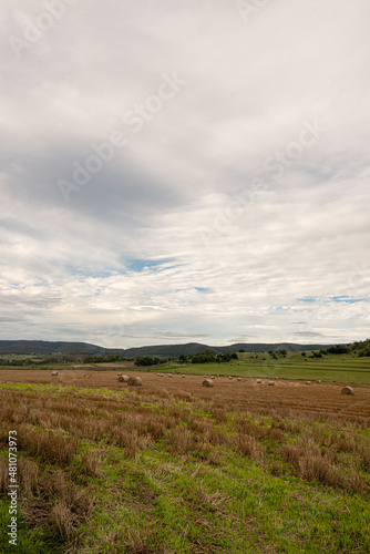 Australian rural landscape showing hay field after harvest surrounded by mountains (ID: 481073973)