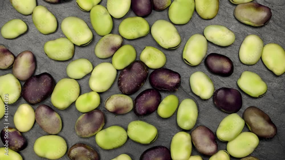 Fresh green and red broad beans rotation close up. Loop motion Fresh green and red broad beans rotation close up. Loop motion