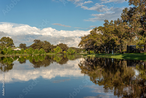 Australian river view with Eucalyptus trees reflecting in the water (ID: 481074183)