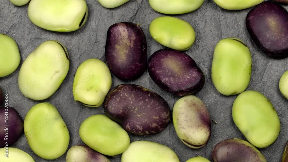 Fresh green and red broad beans rotation close up. Loop motion Fresh green and red broad beans rotation close up. Loop motion
