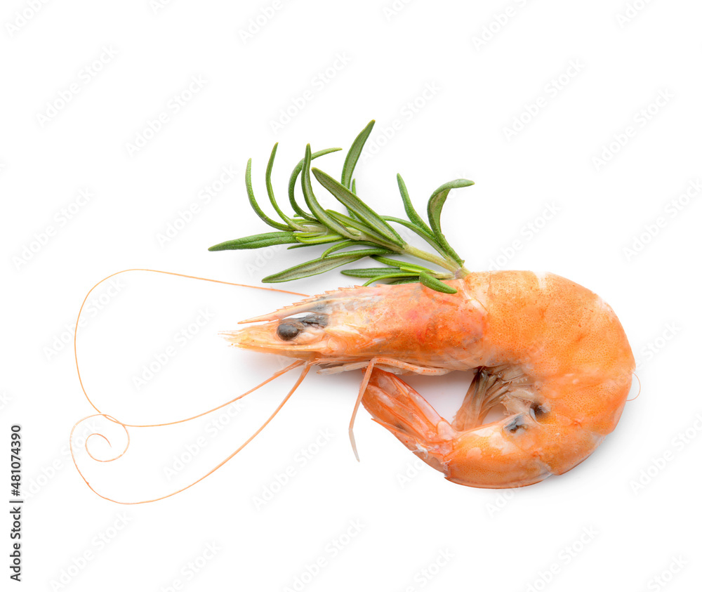 Tasty boiled shrimp with rosemary on white background Tasty boiled shrimp with rosemary on white background