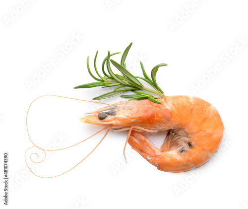 Tasty boiled shrimp with rosemary on white background