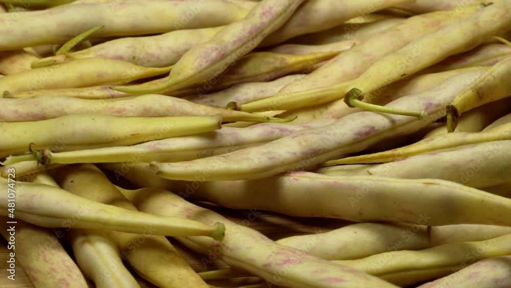 Red bean pods (tongue of fire) rotation texture background. Loop motion Red bean pods (tongue of fire) rotation texture background. Loop motion
