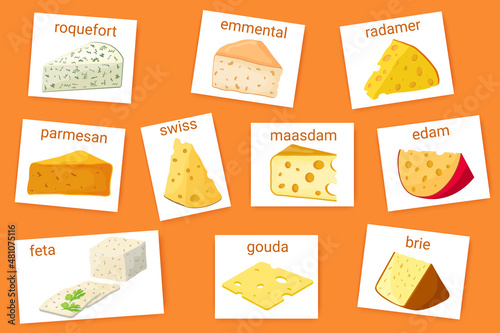 A set of different types of cheese.Cheddar, mozzarella, maasdam, brie, roquefort, gouda, feta and parmesan.Cut delicious cheeses into triangles and slices.Flat vector illustration in cartoon style.