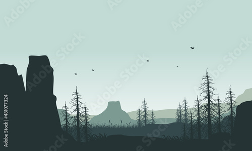 Beautiful mountain scenery with silhouettes of pine trees and ravines from the village at dusk