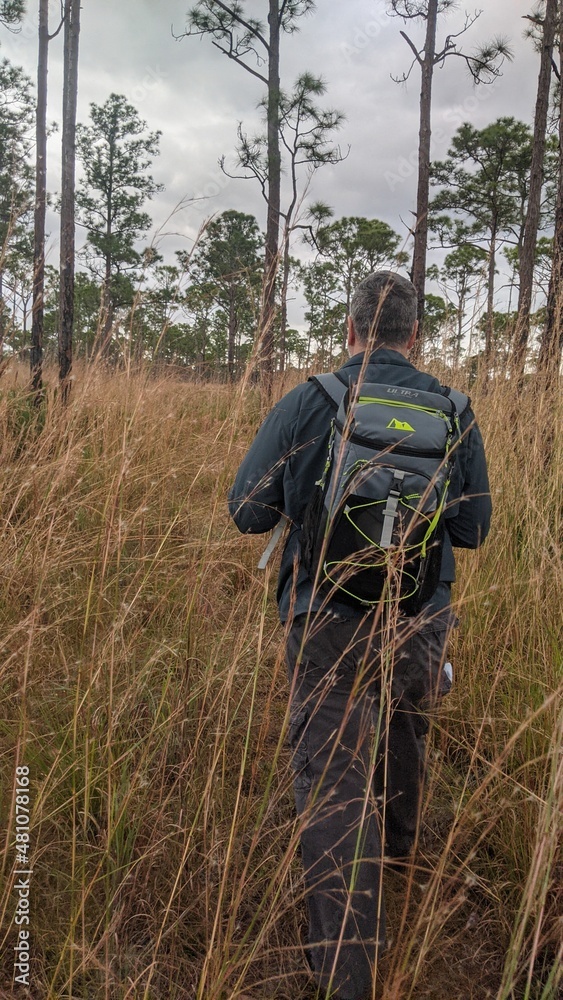 Hiking Man