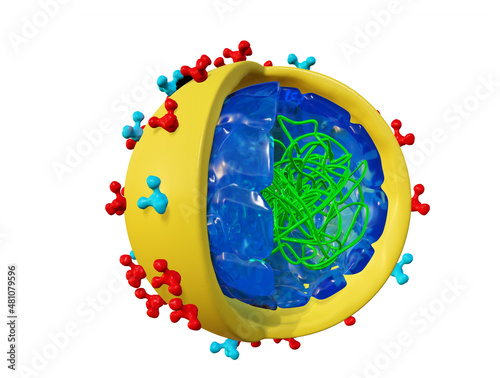 3D rendering of virus structure. Corona virus, HIV, Bird flue and etc. photo