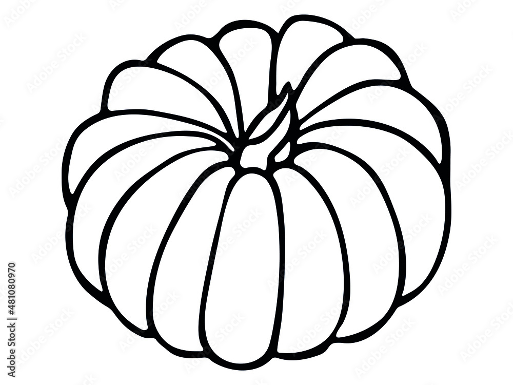 Vector hand drawn illustration of pumpkin. Isolated object on white background. Vegetable harvest clip art. Farm market product. Elements for autumn design, decoration. Vector hand drawn illustration of pumpkin. Isolated object on white background. Vegetable harvest clip art. Farm market product. Elements for autumn design, decoration.