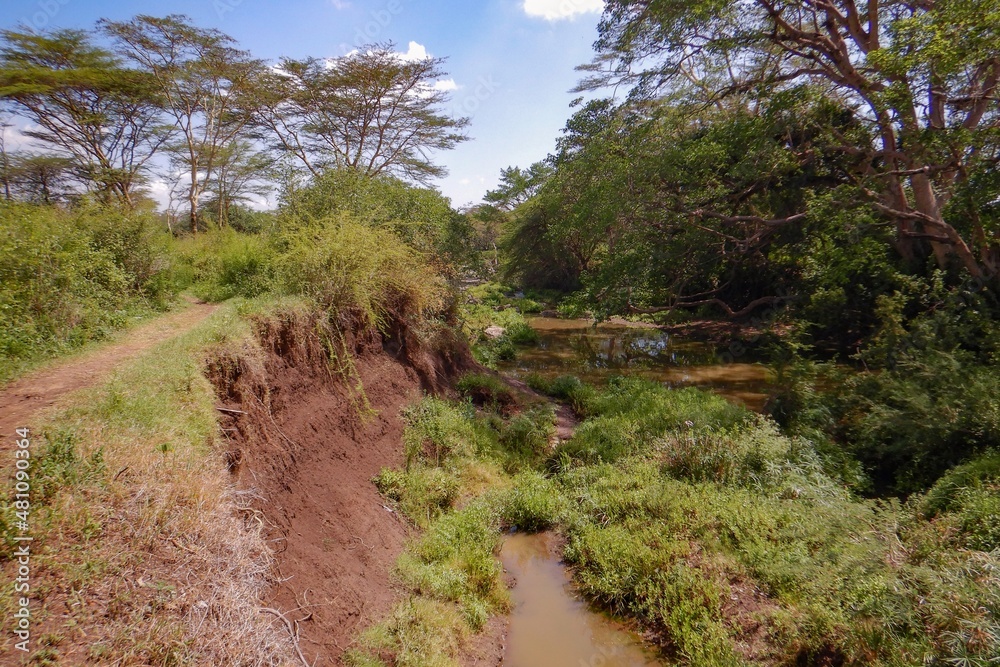 Scenic view of Acacia trees growing on the banks of Athi River in Nairobi National Park, kenya Scenic view of Acacia trees growing on the banks of Athi River in Nairobi National Park, kenya