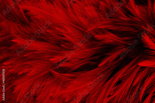 Beautiful Dark Red Feathers Texture Vintage Background