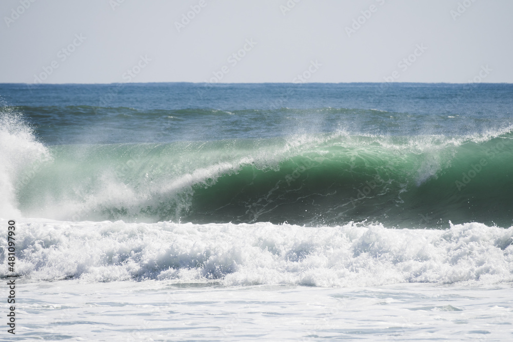 サーフィン日和の綺麗な綺麗な波