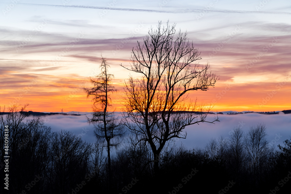 Fototapeta premium Sauerland sunset panorama on a foggy winters evening. Colorful sky and clouds, wafts of mist in Lenne valley near Altena Germany. Mystic atmosphere in rural landscape with silhouettes of bare trees.