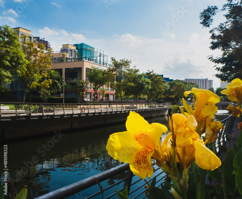 Photography View along the Rochor River in Singapore
