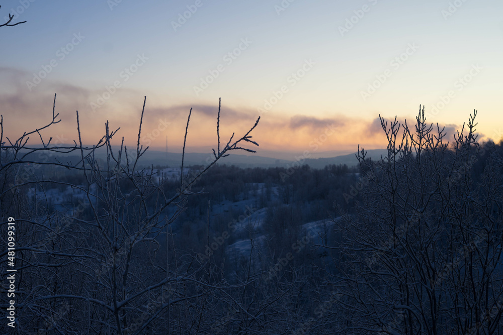frosty nature landscape with trees, sky and sun frosty nature landscape with trees, sky and sun