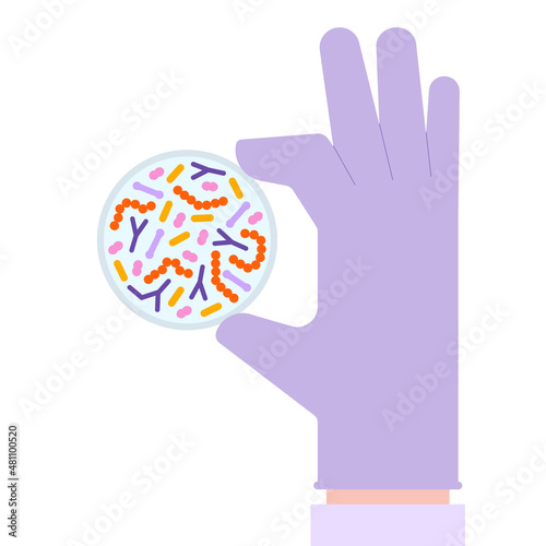 Probiotic bacteria set in petri dish. Gut microbiota with healthy prebiotic bacillus. Lactobacillus, acidophilus, bifidobacteria and other microorganisms for biotechnology. photo