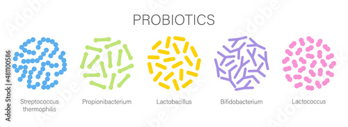 Probiotic bacteria set in circle. Gut microbiota with healthy prebiotic bacillus. Lactobacillus, streptococcus, bifidobacteria and other microorganisms for biotechnology. photo