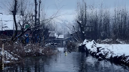 Season's First snowfall in Srinagar, Indian Administered Kashmir