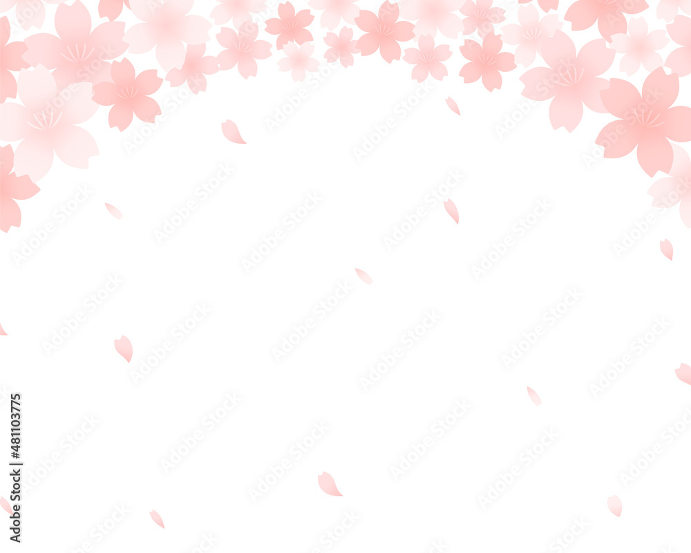桜の背景イラスト フレーム 春 さくら 装飾 枠 花 かわいい 素材 桜の花 満開 花びら 桜吹雪 Stock Vector Adobe Stock