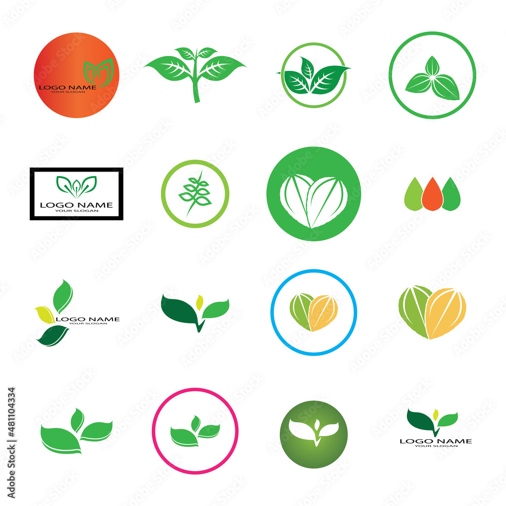 leaf logo icon vector design template leaf logo icon vector design template