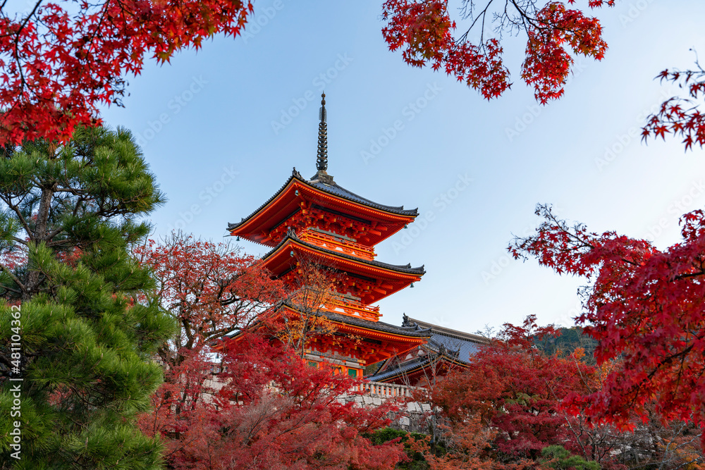 Obraz premium [京都]清水寺の三重塔の風景