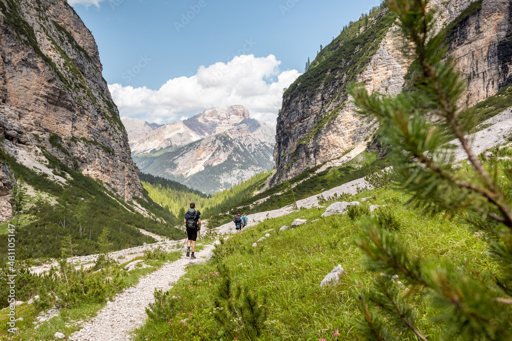 People trekking on a mountain trail in the European Alps