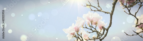 Spring background banner wi...