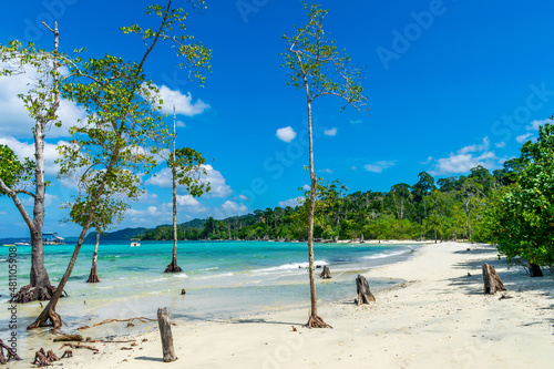 Elephant Beach  Havelock Island  Andaman  India