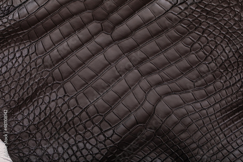 dark brown dyed alligator natural leather - material for handbags and shoes   © photovalebnaya