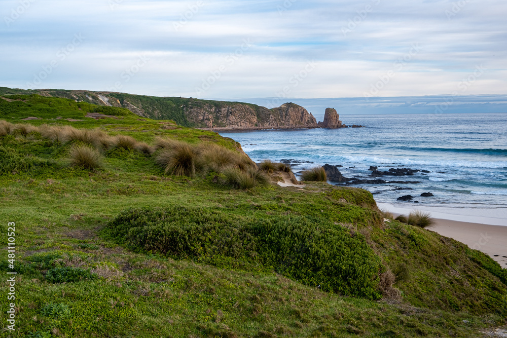 Grassy coastline with rocky outcrops at ocean beach in Australia