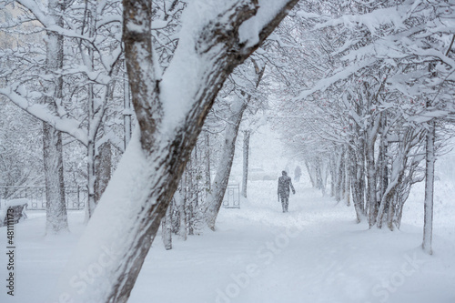 A man walks along the alley during a heavy snowfall. Lots of snow on the sidewalk and tree branches. Snow drifts on the ground. Cold snowy winter weather. View of the snow-covered street in the city.