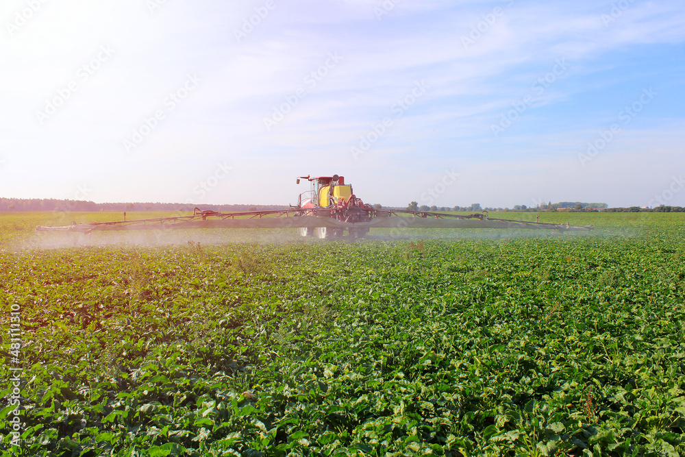 Tractor spraying plant protection products on a green sugar beet field. Tractor spraying plant protection products on a green sugar beet field.